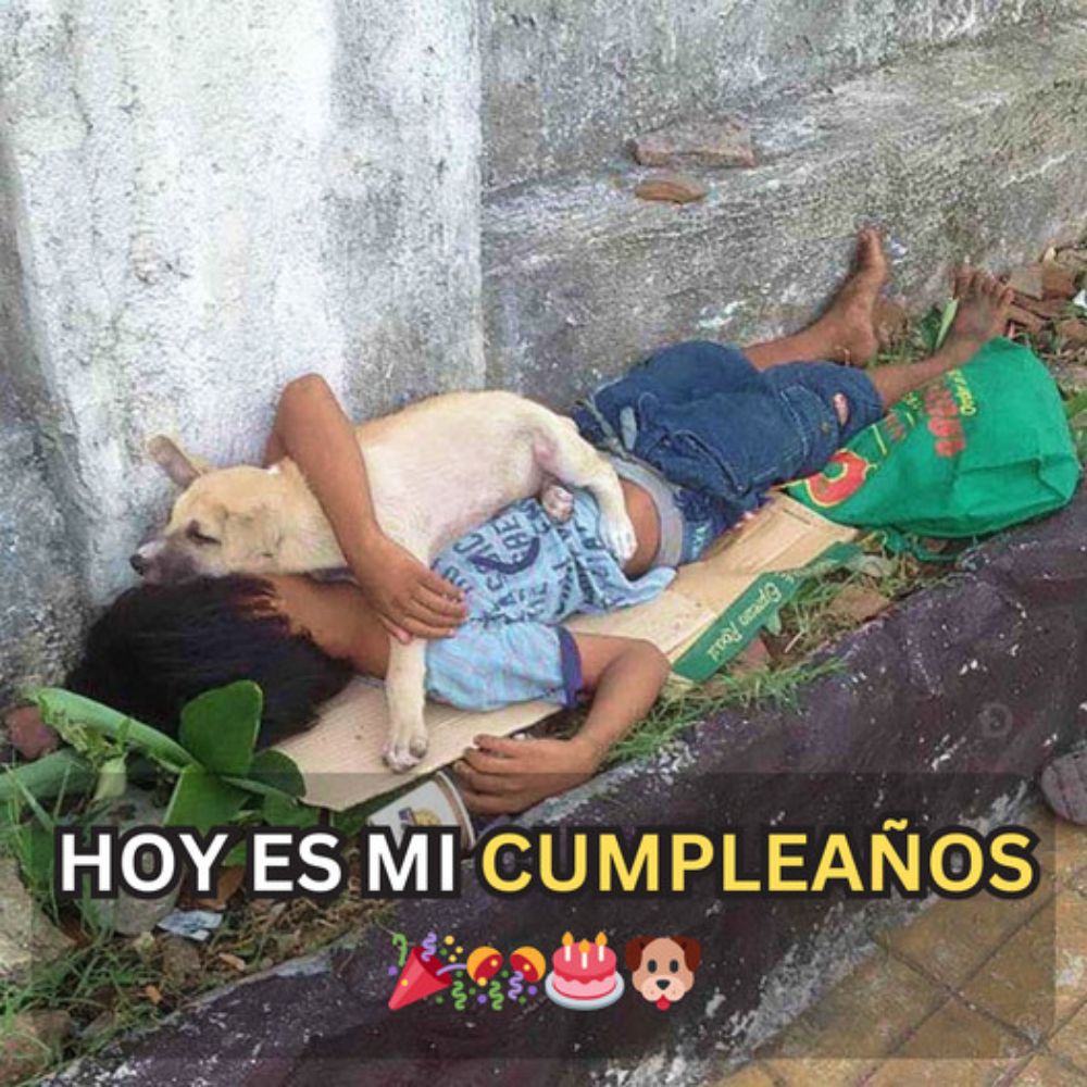 Historias de Amor y Esperanza: Cómo un Niño Abandonado Encuentra el Verdadero Significado del Amor Incondicional a Través de un Perro Cariñoso.♥